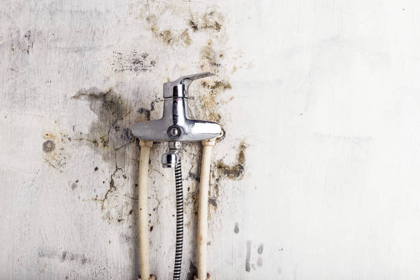Best Water Damage Restoration  in Broadway, VA
