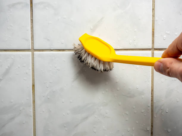 Mold Testing and Removal in Broadway, VA