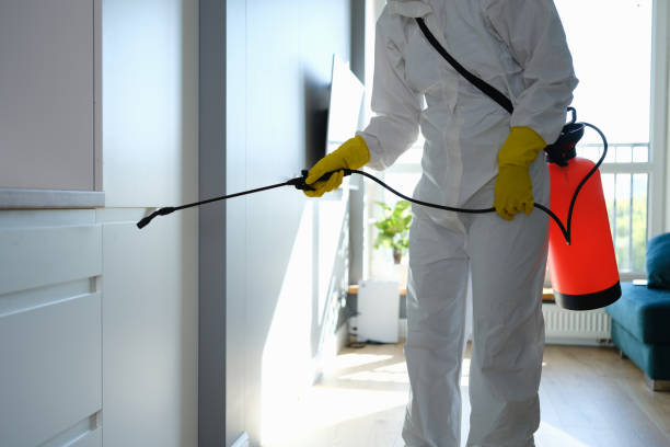 Home Mold Removal in Broadway, VA