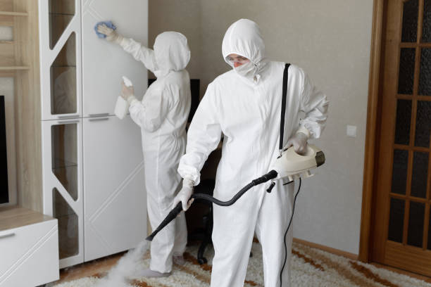 Best Affordable Mold Removal  in Broadway, VA