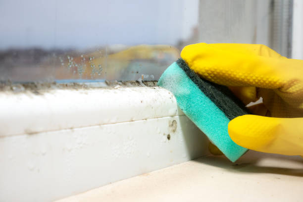 Crawl Space Mold Removal in Broadway, VA
