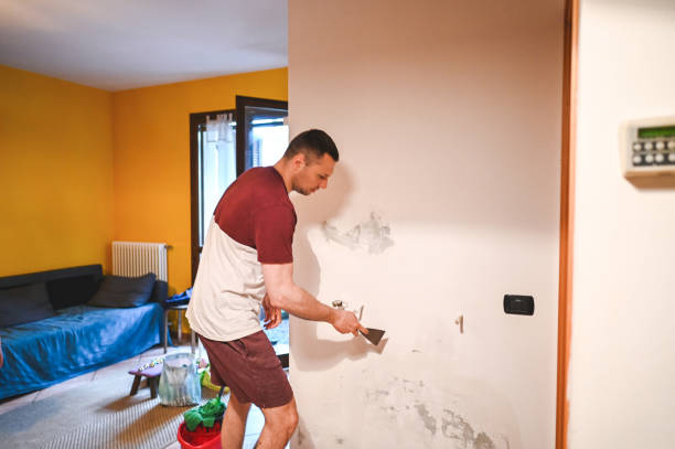 Mold Testing and Removal in Broadway, VA