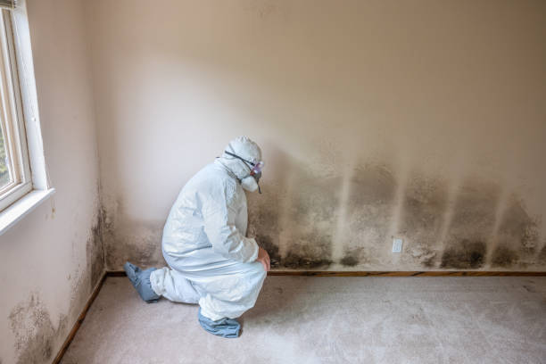 Best Mold Removal Process  in Broadway, VA